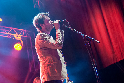 the wombats